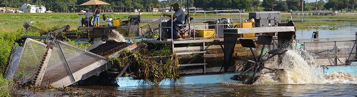 Figure  9 Issuesjpg